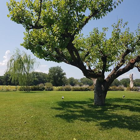Agriturismo Villa Al Piano 토티 외부 사진
