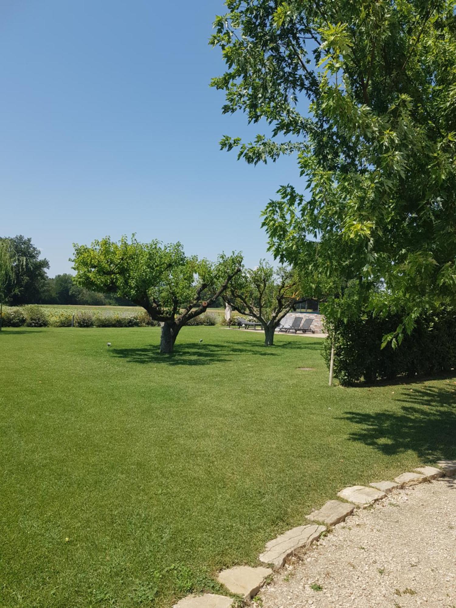 Agriturismo Villa Al Piano 토티 외부 사진