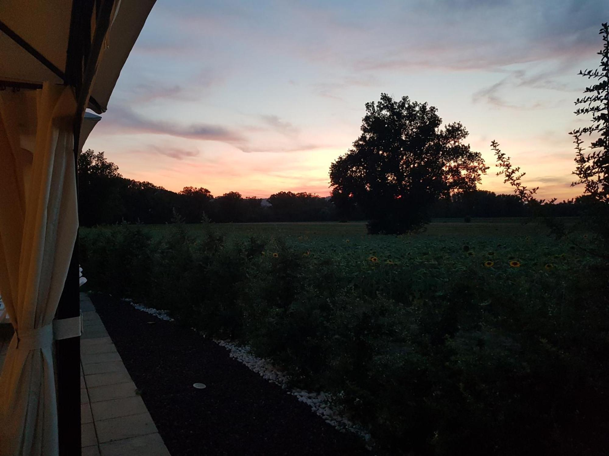 Agriturismo Villa Al Piano 토티 외부 사진