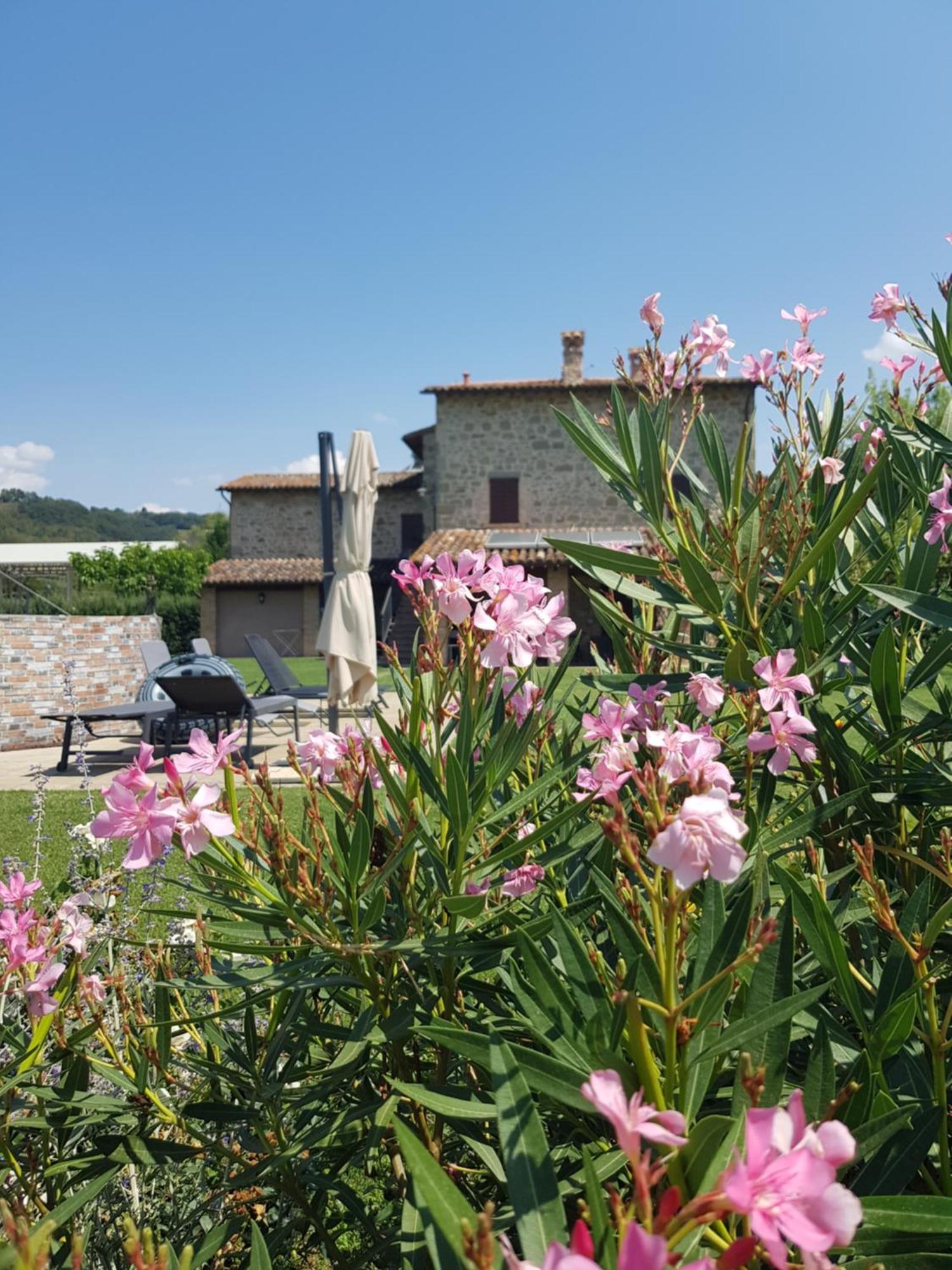 Agriturismo Villa Al Piano 토티 외부 사진