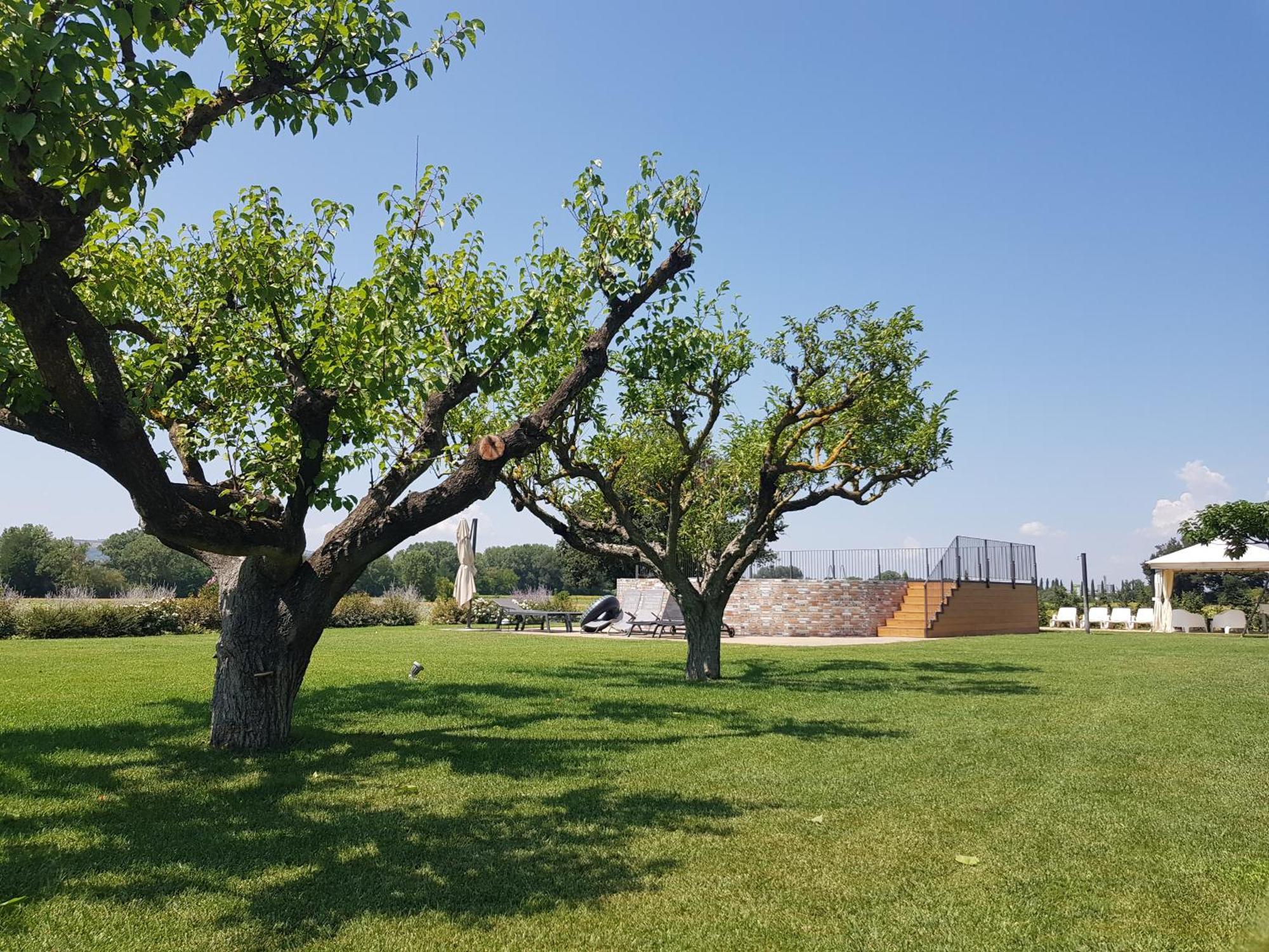 Agriturismo Villa Al Piano 토티 외부 사진