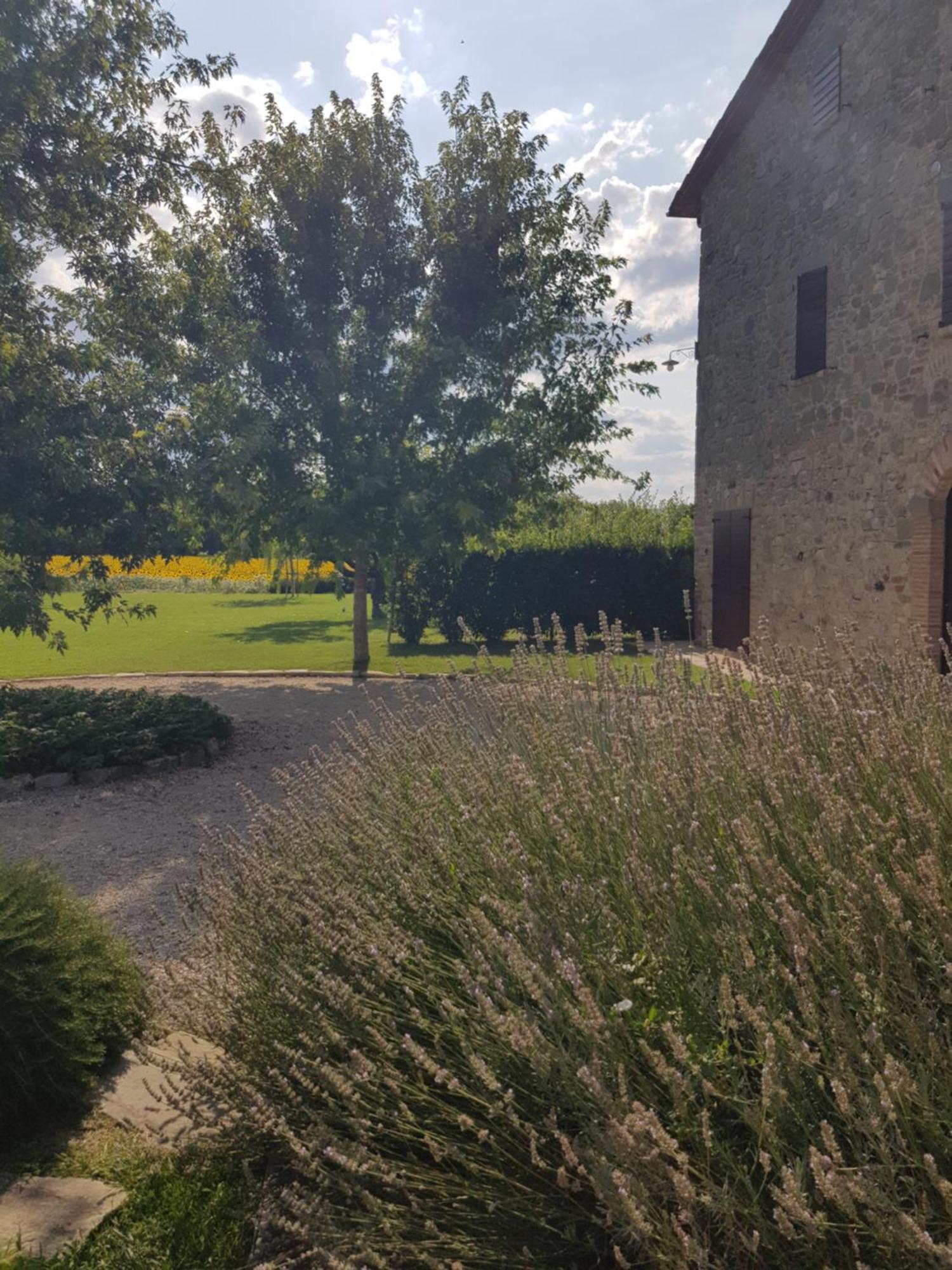 Agriturismo Villa Al Piano 토티 외부 사진
