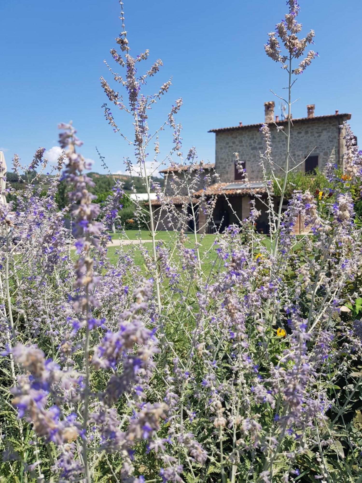 Agriturismo Villa Al Piano 토티 외부 사진